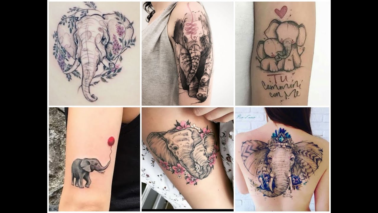 Top-50 Stunning Elephant Tattoo Designs and Ideas