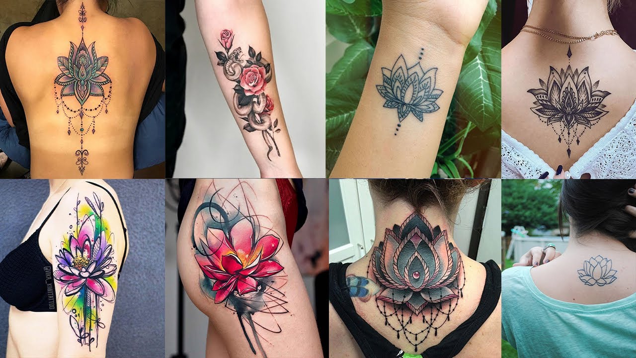 Lotus Flower Tattoo Design and Ideas