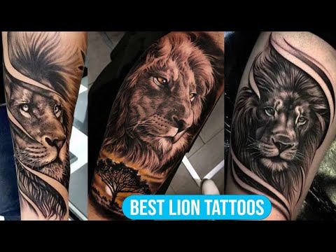 Top 50 Best Lion Tattoo