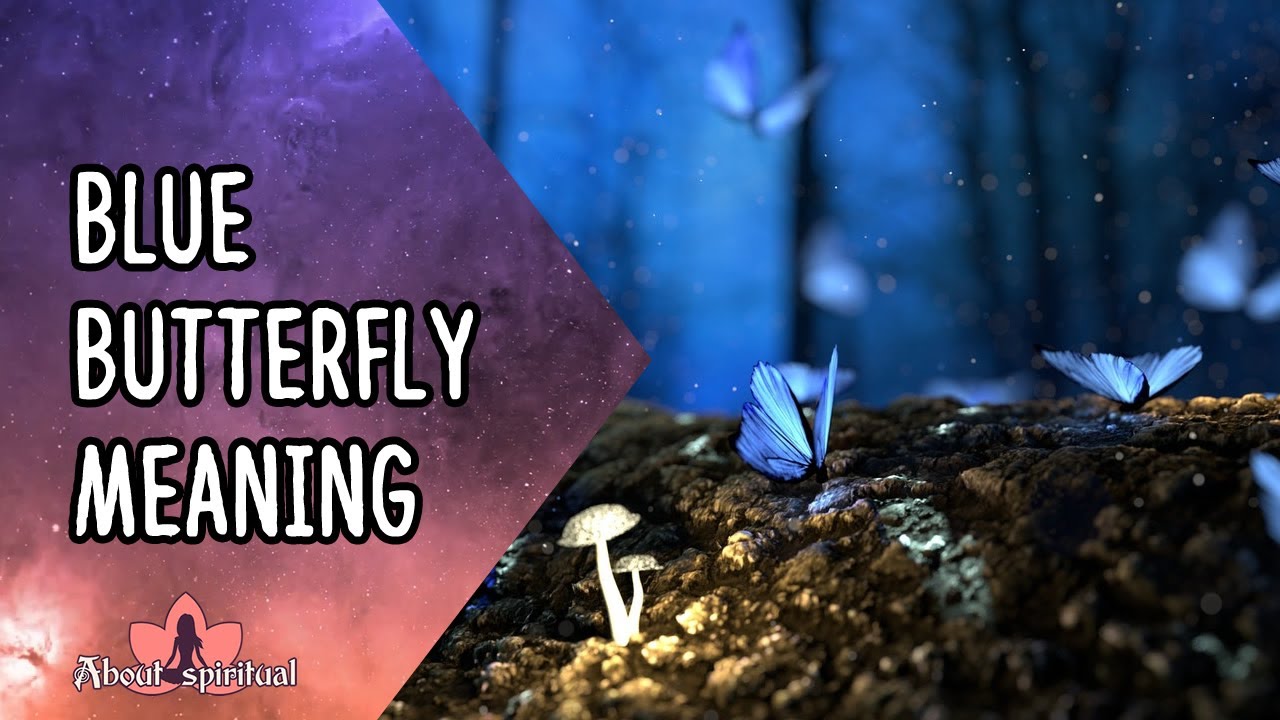 Blue Butterfly Meaning