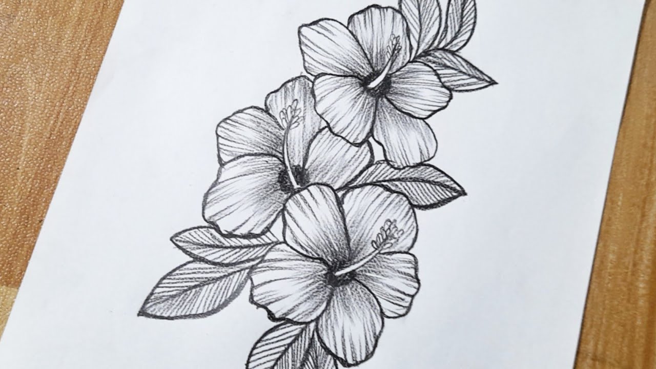 How to draw hibiscus flowers step by step || Hibiscus flower tattoo