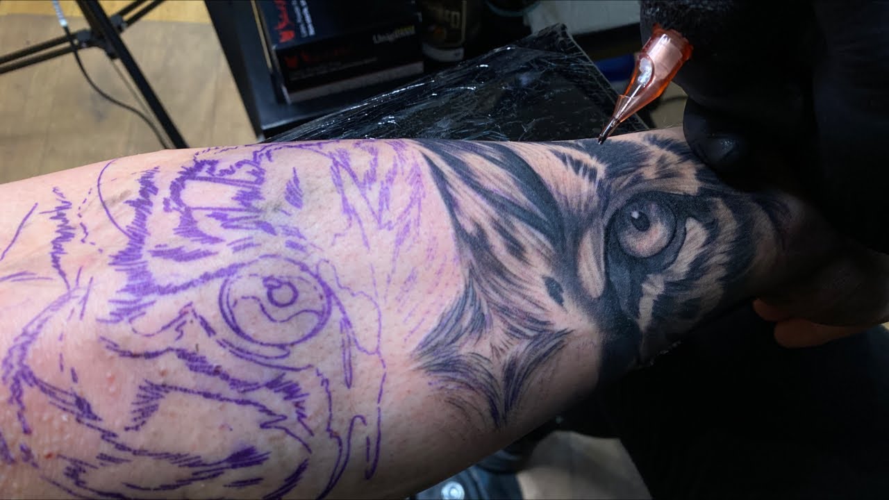 LIVE TATTOO: TIGER EYES 🐯👁