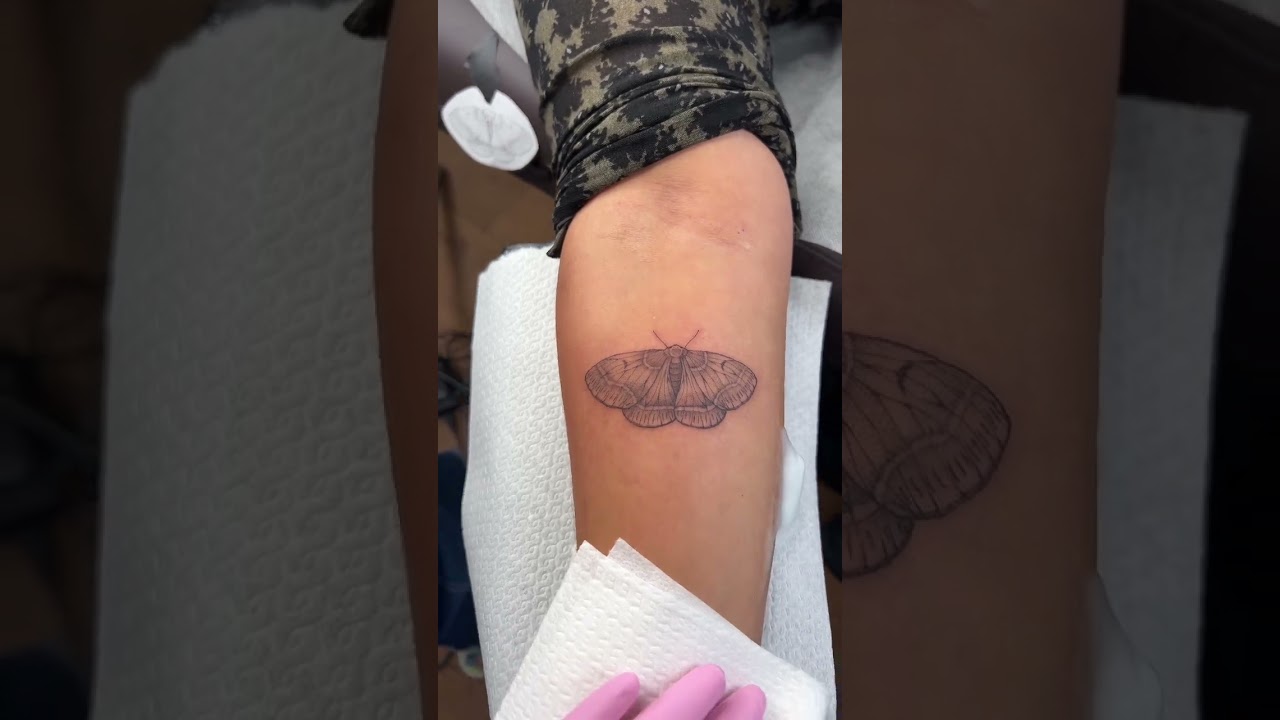 Fresh moth tattoo 🦋