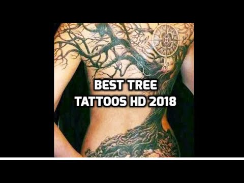 Tree Tattoos HD - Best Tree Tattoo Designs