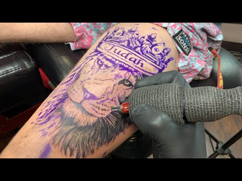 ✅LIVE TATTOO: Lion of Judah Tattoo!