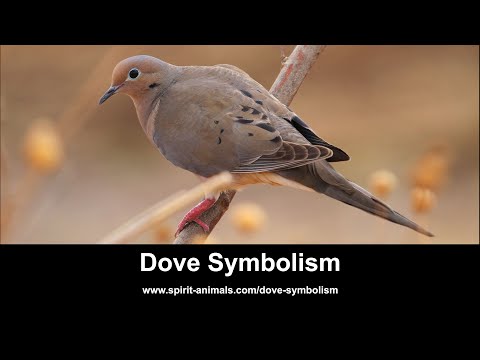 Dove Symbolism