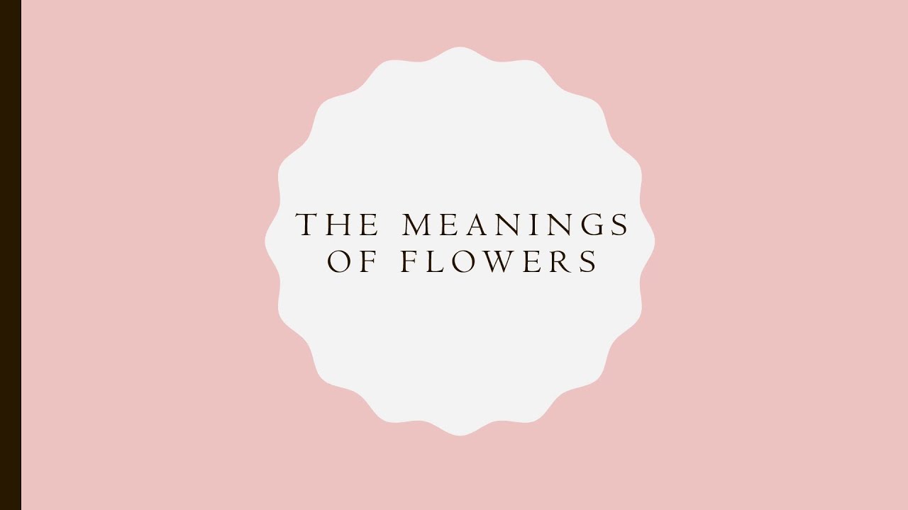 The Meanings of Flowers
